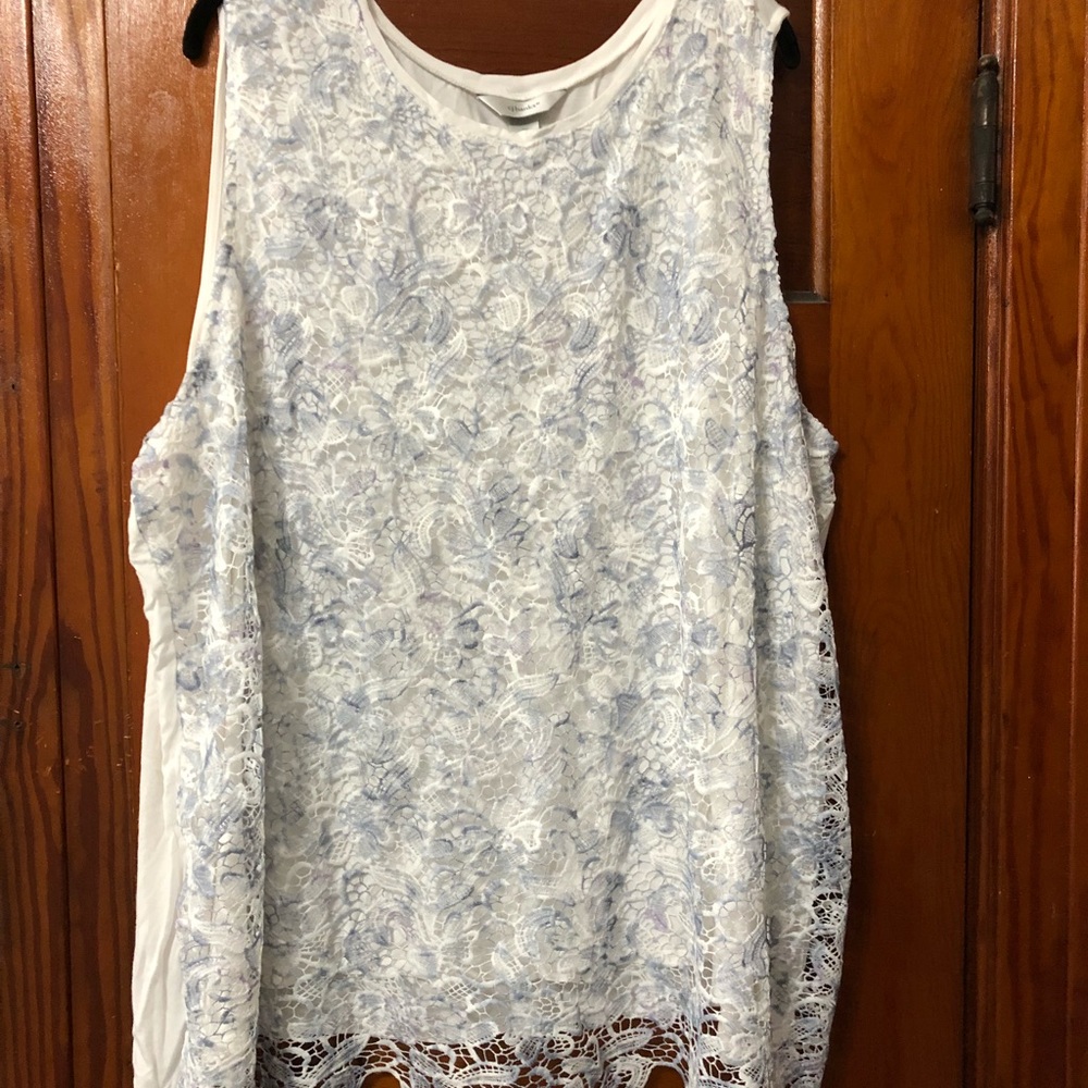 Blue and white lace shell